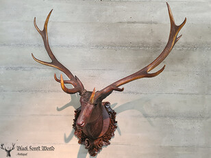 Black forest carved stag deer heads