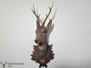 Black forest carved deer head 