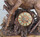 Black forest carved Stag clock 