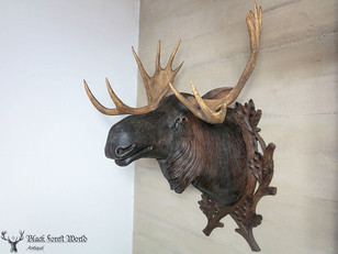 Black forest carved Moose head