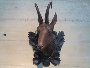 carved black forest chamois head 