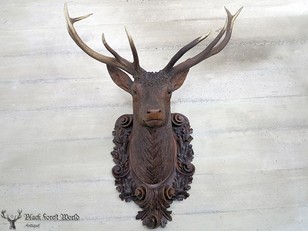 Awesome Madel and Son Stag head